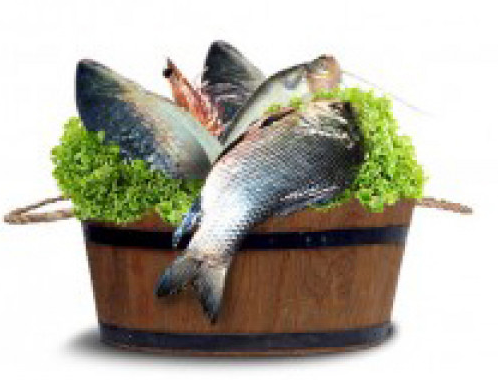 fish delivery subscription